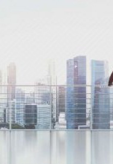 Contract Management and Procurement